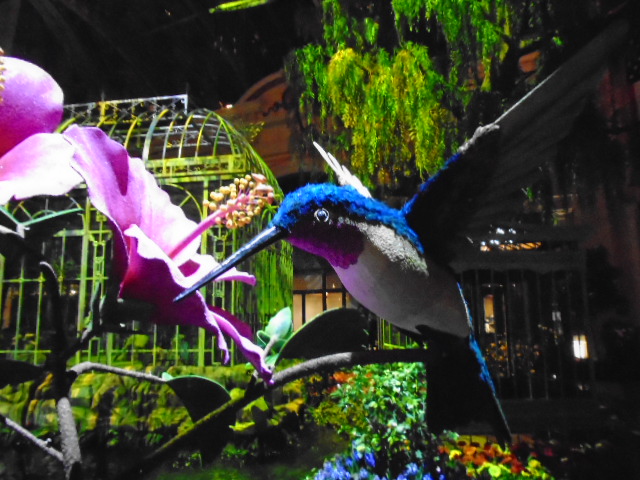 Bellagio Conservatory & Botanical Garden Spring 2021 Display - VegasChanges